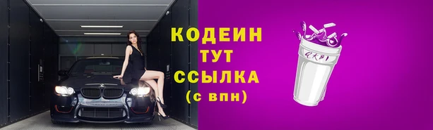 ПСИЛОЦИБИНОВЫЕ ГРИБЫ Алзамай