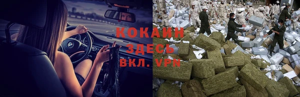 ПСИЛОЦИБИНОВЫЕ ГРИБЫ Алзамай